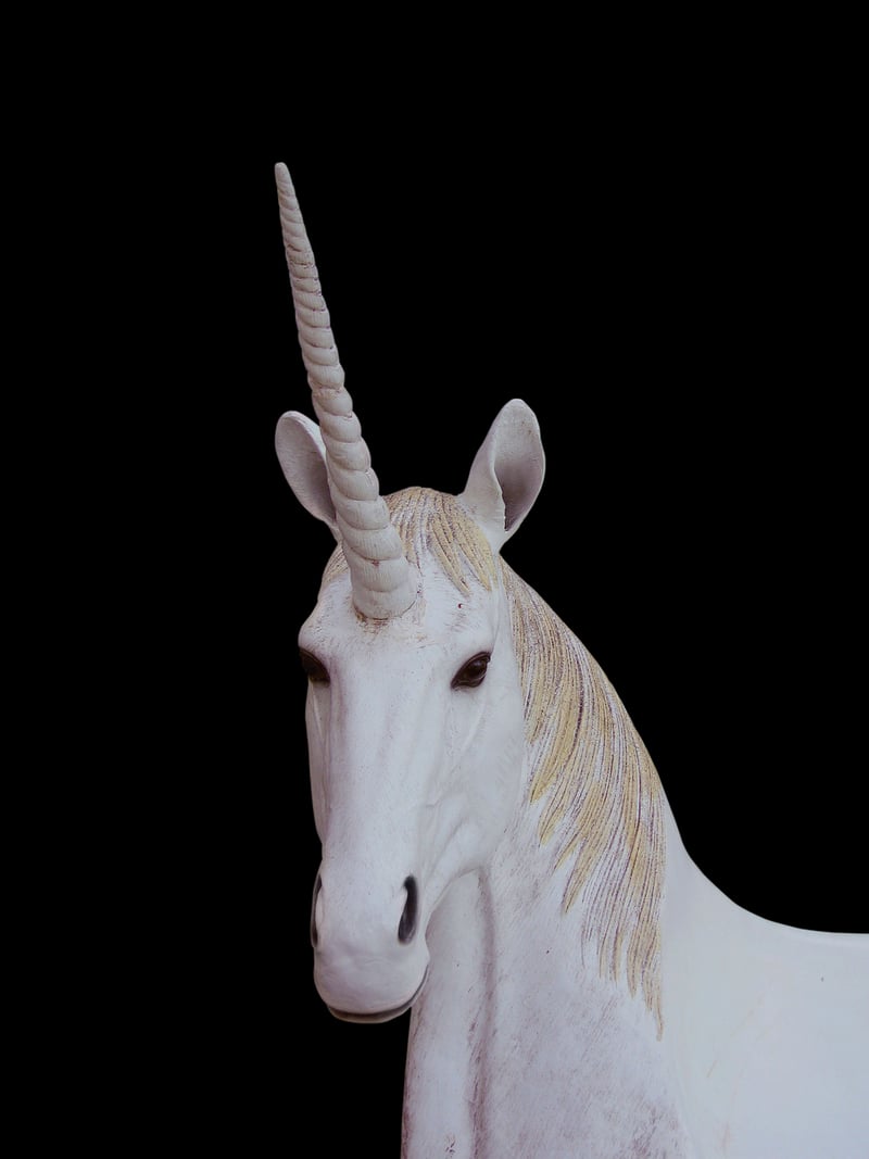 Unicorn Wedding Favors